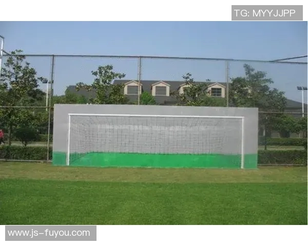 博尼对拉齐奥小集锦水平：唯美射门背后的足球艺术